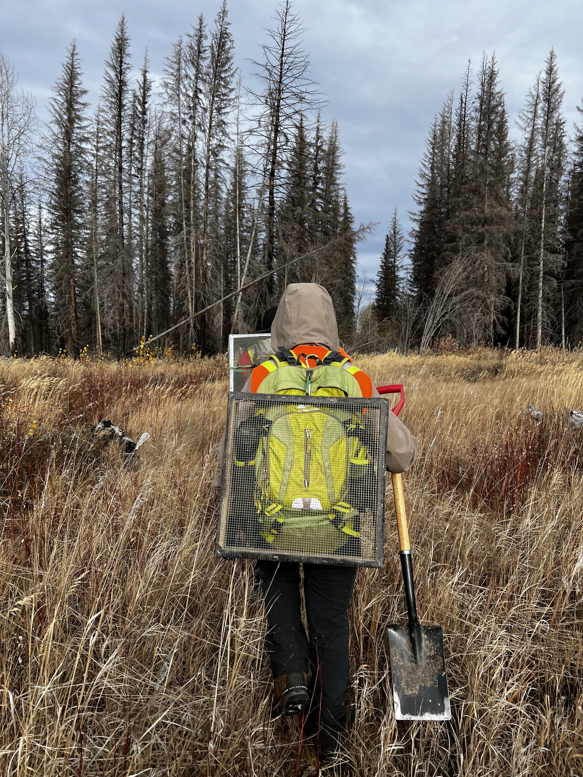 First Time in the Field? Here’s What to Expect and How to Prepare ...